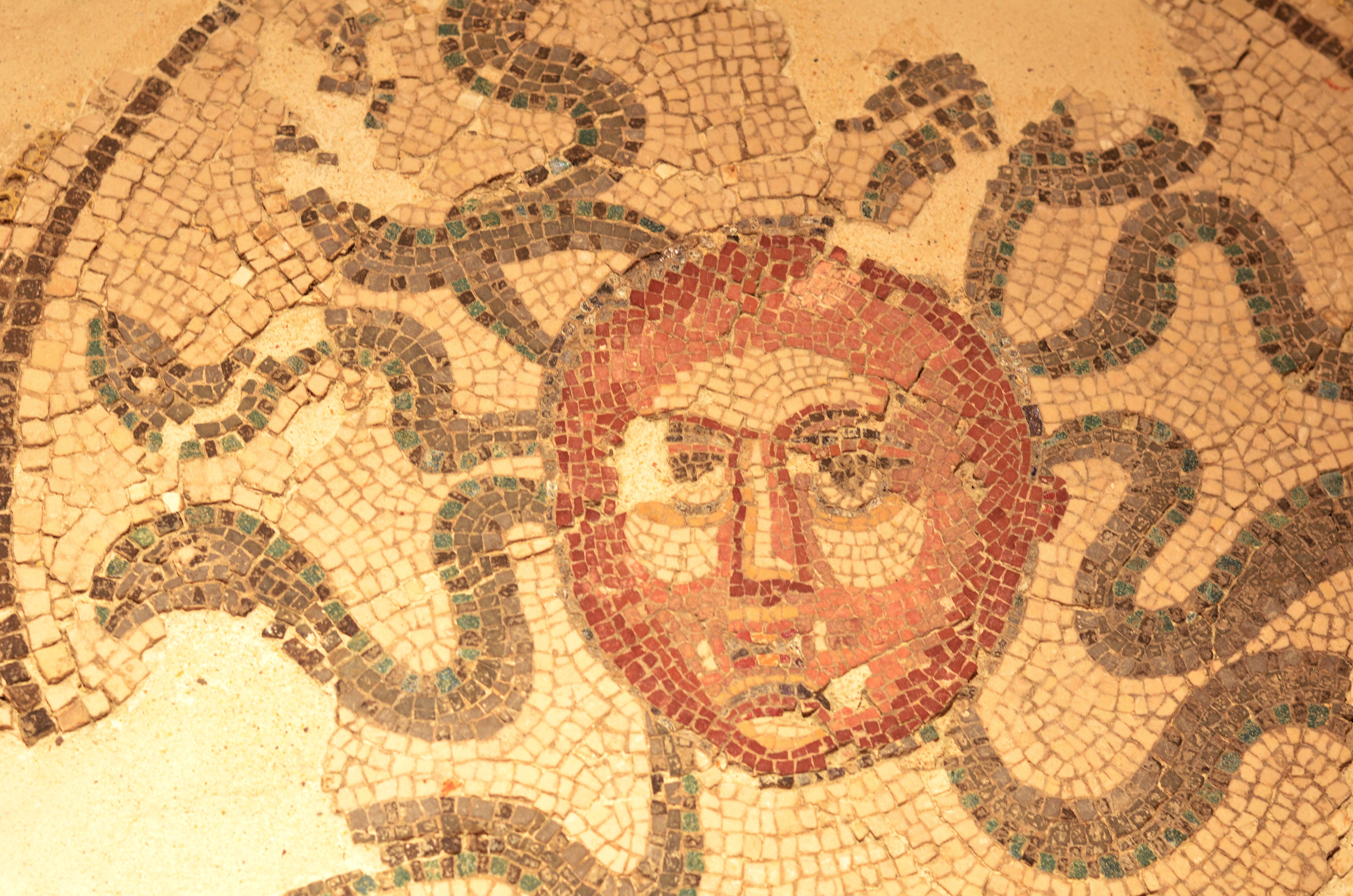Pate di pavimento a mosaico con gorgone